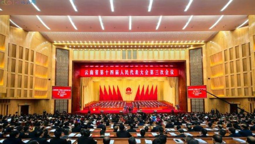 2025澳门资料免费大全管家婆,石化产业面临深度调整阵痛期,创造力策略实施推广_手游版V5.74