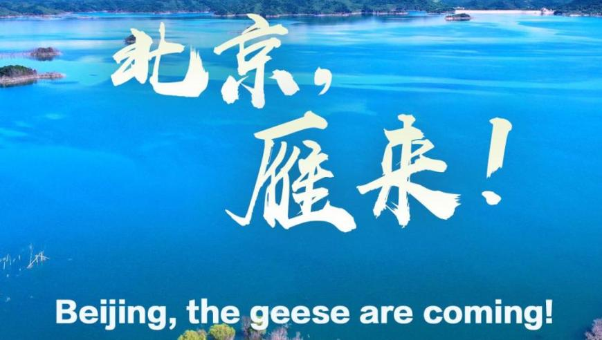 澳门正版资料大全免费图,海底捞回应2人向火锅内小便,最新热门解答落实_公测版V5.39