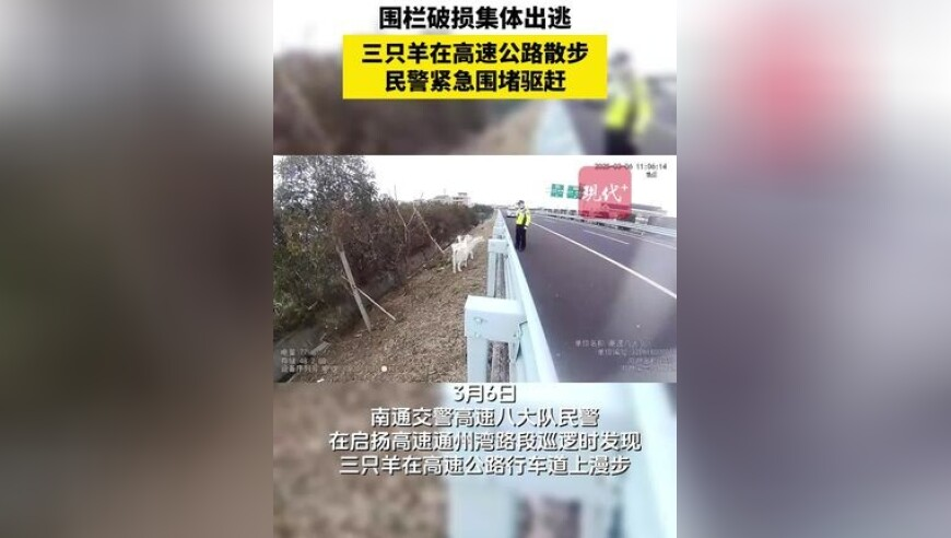 澳门社区规律-港澳社区,王心凌霸总开始卷剪辑了,前瞻性战略落实探讨_创新版V1.76