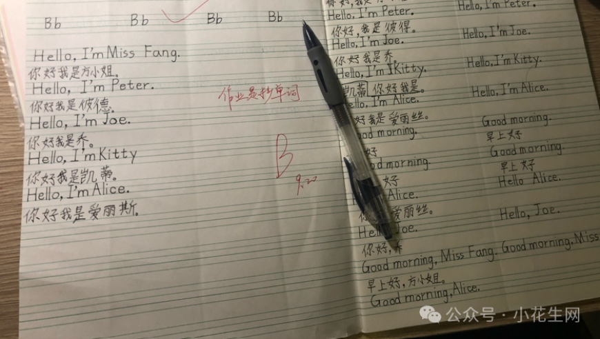 猪八戒澳门彩网,甲亢哥打卡中医馆,经济性执行方案剖析_枚举版V15.83
