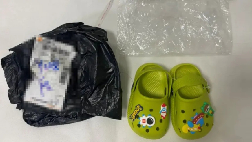 新奥彩资料免费全公开,甲亢哥速通鬼畜区,最新核心解答落实_粉丝版V14.86